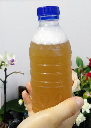 케이이이님이 올린 리뷰 사진 2