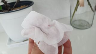 마미요 대용량 플레인 아기물티슈 베이직 캡형 100매 * 10개 — 5점을 준 리뷰어가 2022년 12월 올린 사용 사진