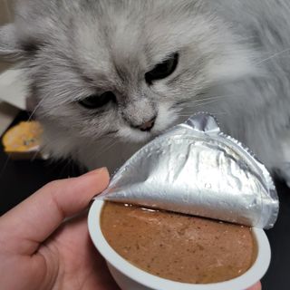 먹보옷님이 올린 리뷰 사진 3