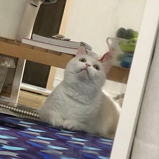 르플랑 한소쿠리초록영귤, 섭지에 유채피우다, 비자림의 아침이슬, 동백길 걷다, 협재의 아침바람 200ml 5종 중 택1 — 5점을 준 리뷰어가 2021년 7월 올린 사용 사진