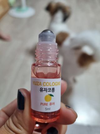 언제나피터팬님이 올린 리뷰 사진 1