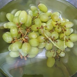 마랴님이 올린 리뷰 사진 2