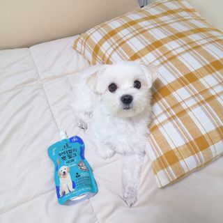 alllove님이 올린 리뷰 사진 4