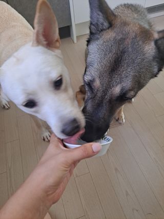 태가맘님이 올린 리뷰 사진 4