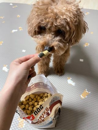 harumom님이 올린 리뷰 사진 4