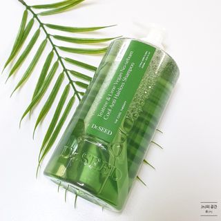 닥터시드 티트리 앤 라임 비건 지성케어 쿨 탈모 샴푸 (1000ml) — 5점을 준 리뷰어가 2023년 8월 올린 사용 사진
