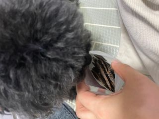 공팔리터최고다님이 올린 리뷰 사진 3