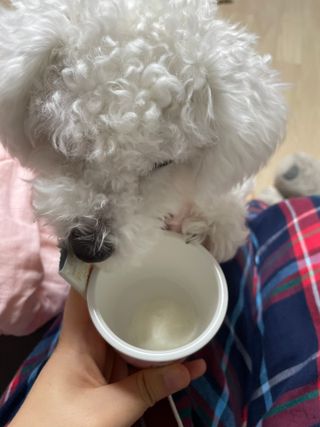 정주리님이 올린 리뷰 사진 4