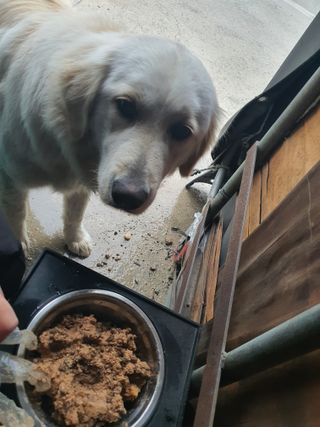시네님이 올린 리뷰 사진 4