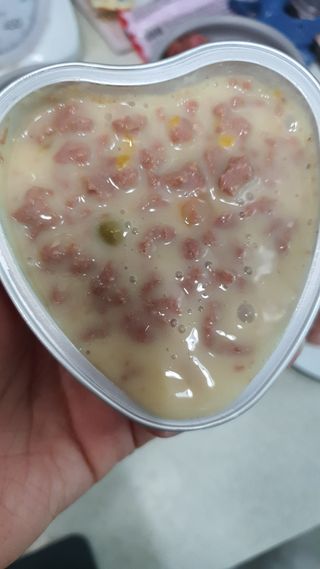 비타크래프트 조에시 하트캔 85g 강아지 습식캔 10캔 — 5점을 준 리뷰어가 2021년 7월 올린 사용 사진