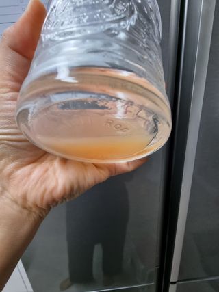 BoRaJin님이 올린 리뷰 사진 3