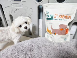 [펫시밀] 원물그대로 영양듬뿍 동결건조 왕북어트릿300g,왕치킨트릿400g,열빙어트릿300g 대용량 간식 — 5점을 준 리뷰어가 2023년 5월 올린 사용 사진