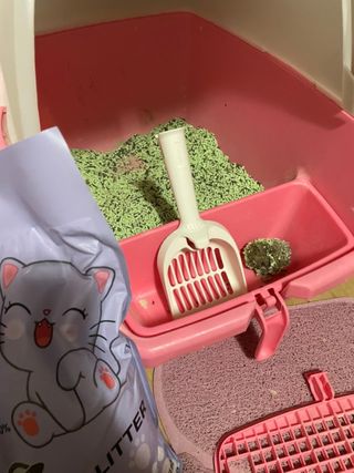 시나님님이 올린 리뷰 사진 2