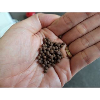 우쭈쭈님이 올린 리뷰 사진 2