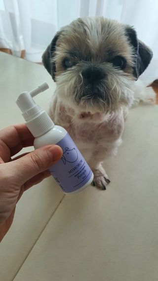 민우다빈이맘님이 올린 리뷰 사진 1