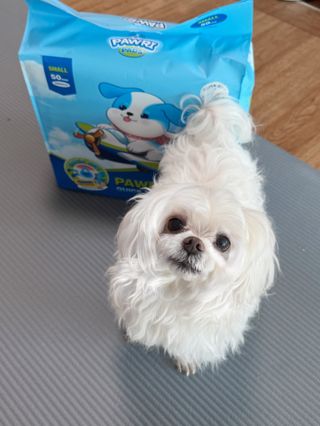 O_zl님이 올린 리뷰 사진 1