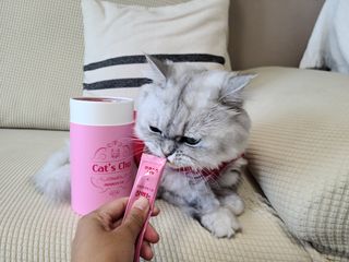페페로니 잘 먹는 캣츄 - 알래스카 연어 24개입 — 5점을 준 리뷰어가 2021년 9월 올린 사용 사진