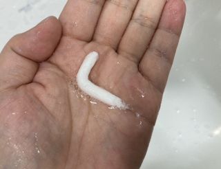 푸른목숨님이 올린 리뷰 사진 2