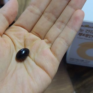 또리님이 올린 리뷰 사진 2