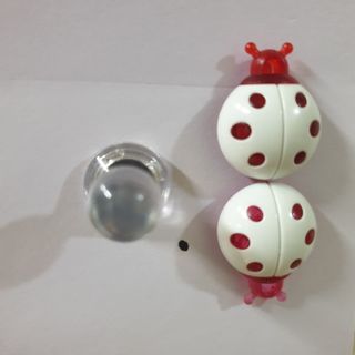 0.8L 마케팅팀 - — 5점을 준 리뷰어가 2021년 5월 올린 사용 사진