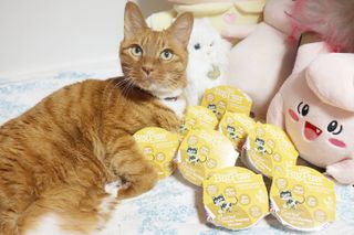 안젤라mj님이 올린 리뷰 사진 1
