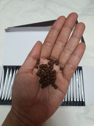 순이님이 올린 리뷰 사진 2