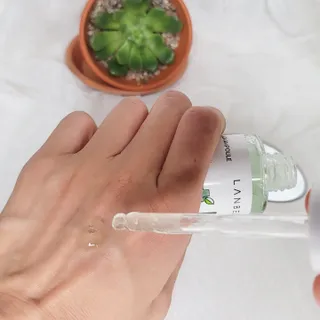 미랑님이 올린 리뷰 사진 4
