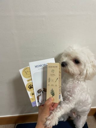 냥냥이님이 올린 리뷰 사진 1
