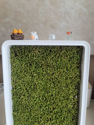 명희님이 올린 리뷰 사진 2