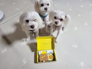 공팔리터님이 올린 리뷰 사진 2