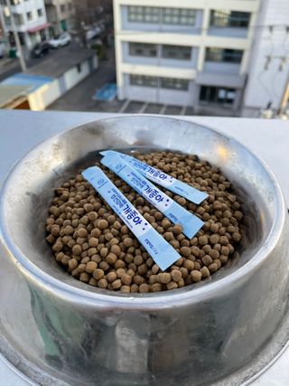 바니짱님이 올린 리뷰 사진 3