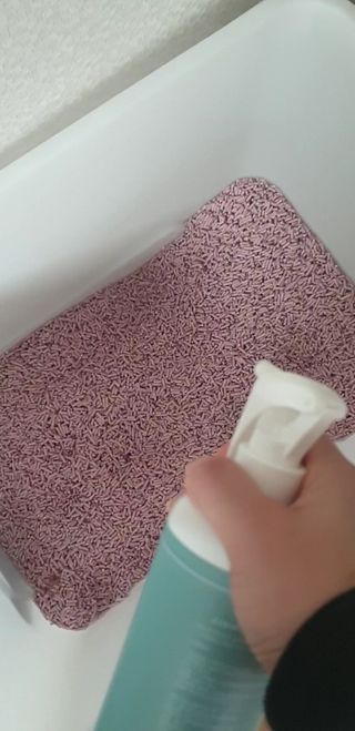 이째님이 올린 리뷰 사진 2