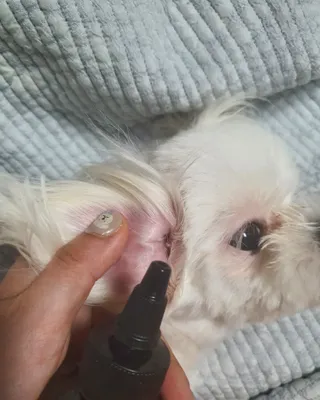 꽁아님이 올린 리뷰 사진 4