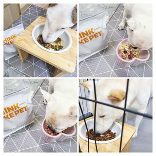 씽크라이크펫 큐브생식 1kg — 5점을 준 리뷰어가 2022년 11월 올린 사용 사진