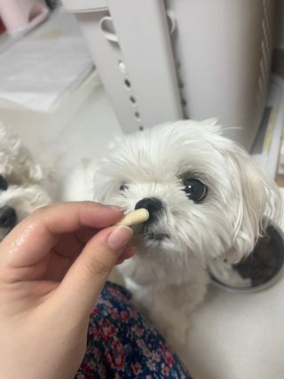 린짱님이 올린 리뷰 사진 2