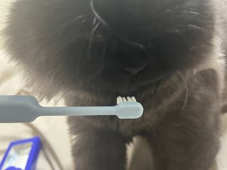 짱아언니님이 올린 리뷰 사진 3