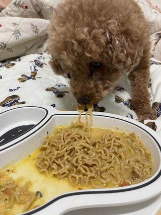파이님이 올린 리뷰 사진 1