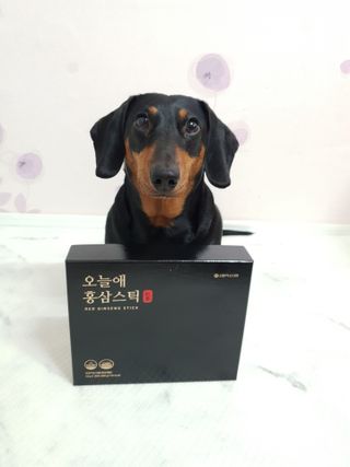 히이잇님이 올린 리뷰 사진 1