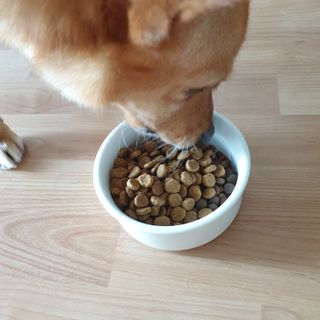 ㅋㅋㅋ님이 올린 리뷰 사진 3