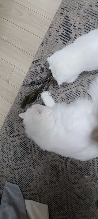 논지님이 올린 리뷰 사진 3