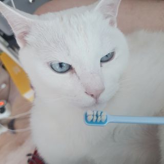 정혜님이 올린 리뷰 사진 1
