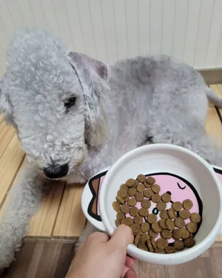 lemoniee님이 올린 리뷰 사진 3