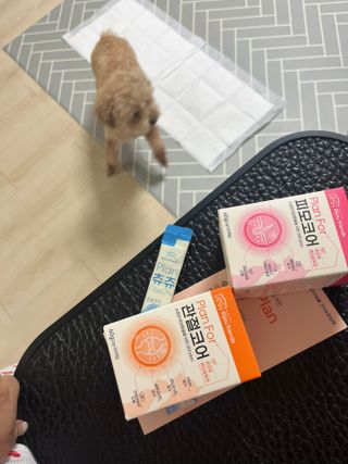 숙블리님이 올린 리뷰 사진 2