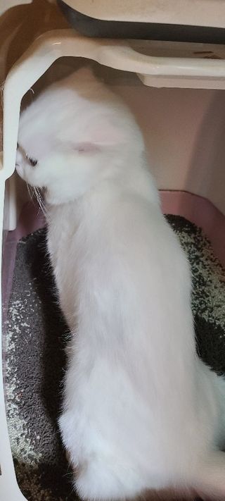 mintblue님이 올린 리뷰 사진 4