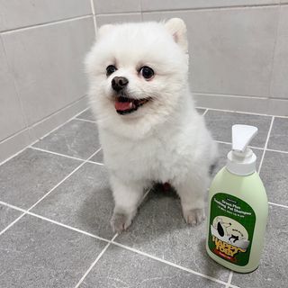 오랑이님이 올린 리뷰 사진 1