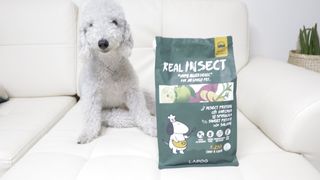 [푸디웜] 라포그  리얼인섹트 웨이트밸런스 저알러지 강아지 사료  1.2KG — 5점을 준 리뷰어가 2021년 7월 올린 사용 사진