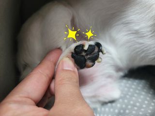 나나네님이 올린 리뷰 사진 4