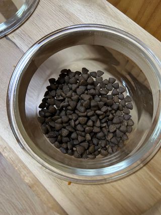 [푸디웜] 라포그  리얼인섹트 관절 저알러지 강아지 사료  1.2KG — 5점을 준 리뷰어가 2022년 8월 올린 사용 사진