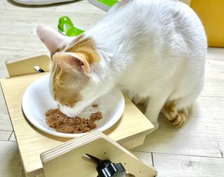 나냐님이 올린 리뷰 사진 3