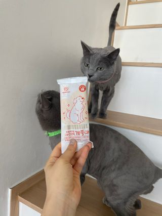여온님이 올린 리뷰 사진 2